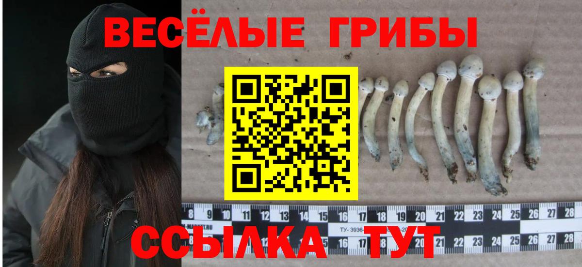 Псилоцибиновые грибы MAGIC MUSHROOMS  Галлюциногенные грибы ЛСД  Вход с VPN  Лыткарино 